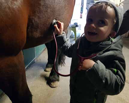 20240420_161333 20240420_161333